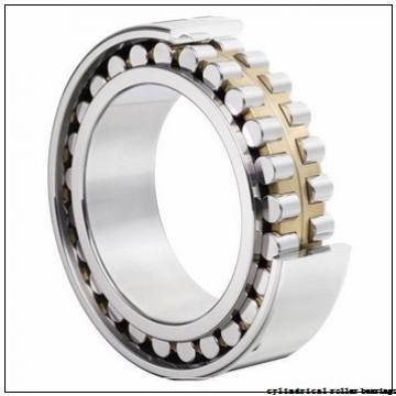 180 mm x 380 mm x 126 mm  NKE NJ2336-E-M6 cylindrical roller bearings