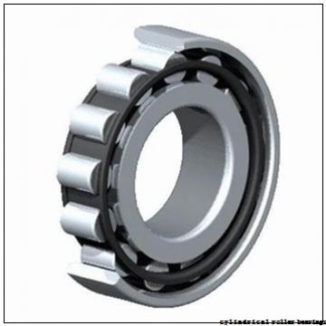 55 mm x 90 mm x 18 mm  FAG N1011-K-M1-SP cylindrical roller bearings