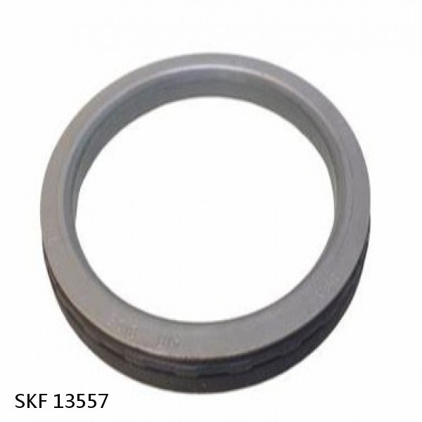 13557 SKF SKF LIP SEAL