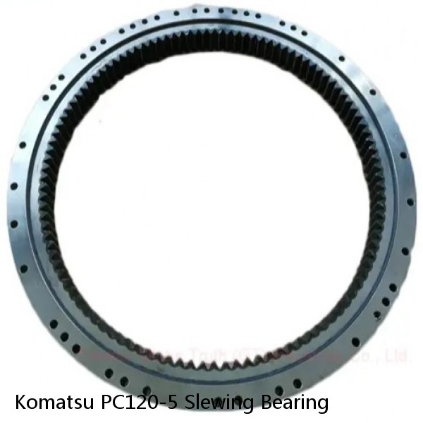 Komatsu PC120-5 Slewing Bearing