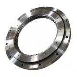 310.16.0600.000 & Type 16L/750 Slewing Ring
