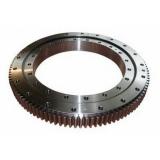 310.16.0700.000 & Type 16L/850 Slewing Ring