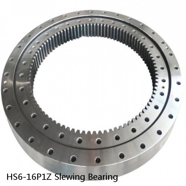 HS6-16P1Z Slewing Bearing